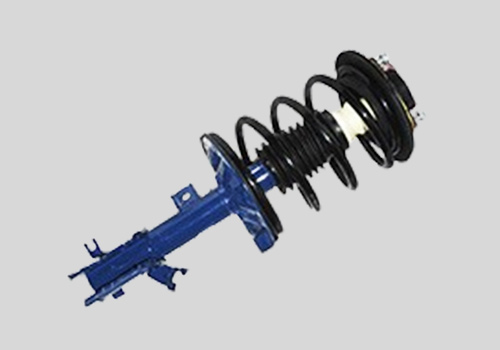 Complete-Strut-Assembly-&-Strut-1